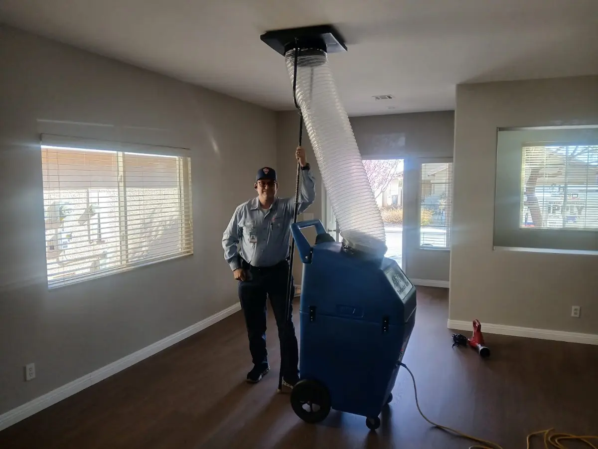 Professional Dryer Vent Cleaning work inside a Little Silver home